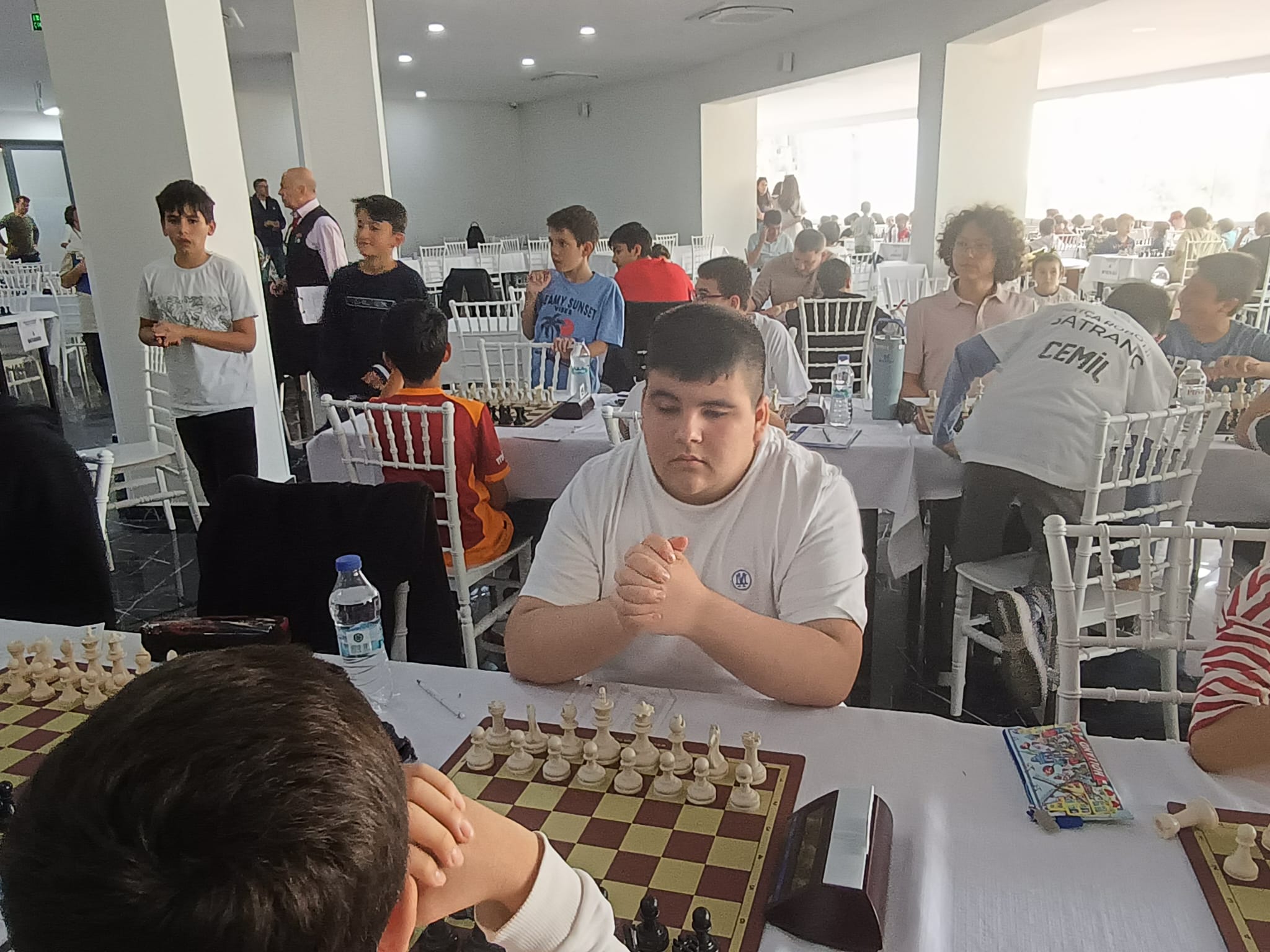 Satranç çalışması 34